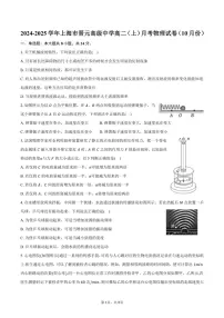 2024～2025学年上海市晋元高级中学高二（上）月考物理试卷（10月份）（含答案）