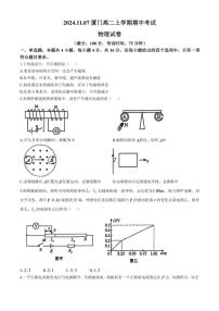 福建省厦门2024～2025学年高二上学期11月期中物理试题（含解析）