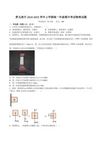 黑龙江省鹤岗市萝北县高级中学2024～2025学年高一上学期11月期中考试物理试卷（含答案）