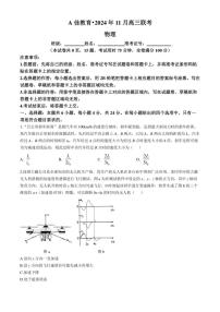 湖南省A佳教育2024～2025学年高三上学期11月联考物理试卷（含解析）