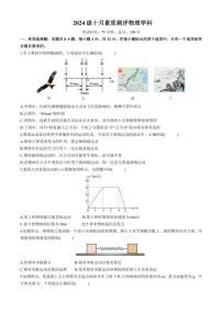 四川省2024～2025学年高一上学期10月月考物理试卷（含解析）