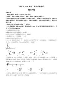 重庆市2024～2025学年高二上学期11月期中考试物理试卷（含解析）