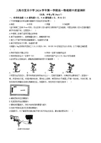 上海市复旦中学2024-2025学年高一上学期期中物理试卷(无答案)