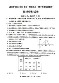 漳州十校联盟2024年高一上学期11月期中物理试题（含答案）