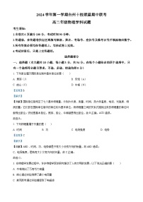 2025台州十校联盟高二上学期11月期中物理试题含解析