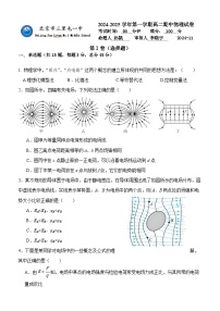 北京市三里屯一中2024-2025学年高二上学期期中考试物理试卷（Word版附答案）