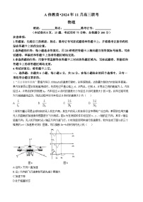 湖南省A佳教育2024-2025学年高三上学期11月联考物理试卷（Word版附解析）