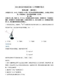 2025届北京市海淀区高三上学期期中练习物理试题 （解析版）