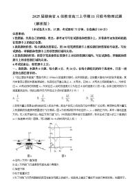 2025届湖南省A佳教育高三上学期11月联考物理试题 （解析版）