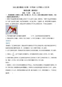 2025届安徽省六安第一中学高三上学期11月月考物理试题（解析版）