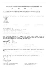 2024～2025学年江苏徐州铜山区铜山县棠张中学高二(上)月考物理试卷(第一次)[原题+解析]