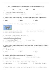 2024～2025学年广东深圳光明区高级中学高二(上)期中物理试卷(学业水平)[原题+解析]