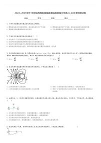 2024～2025学年10月陕西渭南蒲城县蒲城县蒲城中学高二(上)月考物理试卷[原题+解析]