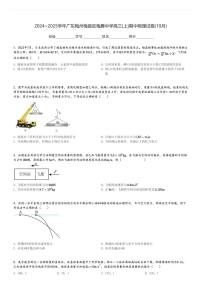 2024～2025学年广东梅州梅县区梅雁中学高三(上)期中物理试卷(10月)[原题+解析]