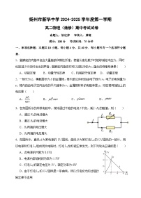 江苏省扬州市新华中学2024-2025学年高二上学期11月期中考试物理试题