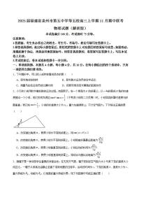 2025届福建省泉州市第五中学等五校高三上学期11月期中联考物理试题（解析版）