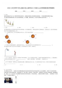 2024～2025学年10月上海松江区上海市松江二中高三(上)月考物理试卷(学情调研)[原题+解析]