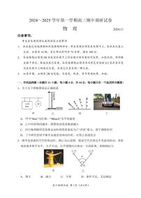 江苏省苏州市2024-2025学年高三上学期11月期中物理试题
