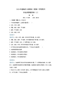 甘肃省嘉峪关及白银两市2024-2025学年高一上学期11月期中质量检测物理试卷（解析版）