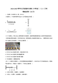 2024-2025学年江苏省徐州市第三中学高二（上）月考物理试卷（10月）（含答案）