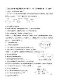 2024-2025学年陕西师大附中高二（上）月考物理试卷（10月份）（含答案）