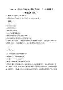 2024-2025学年江苏省苏州市四校联考高二（上）调研测试物理试卷（10月）（含答案）