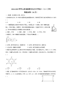 2024-2025学年山东省新泰市弘文中学高三（上）月考物理试卷（10月）（含答案）