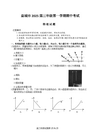 2025盐城高三上学期11月期中考试物理含答案