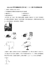 2025长沙师大附中高二上学期11月期中考试物理试卷含解析