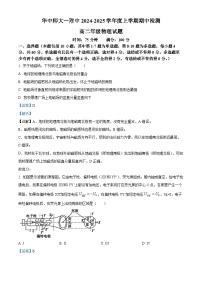 2025武汉华中师范大学第一附中高二上学期11月期中物理试题含解析
