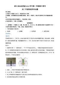 浙江省金砖联盟2024-2025学年高二上学期11月期中物理试卷（Word版附解析）