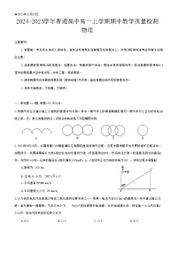 河南省信阳市罗山县2024-2025学年高一上学期11月期中考试物理试卷（Word版附答案）