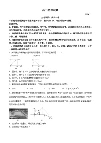 山东省德州市2024-2025学年高三上学期期中考试物理试卷（Word版附答案）