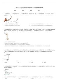 2024～2025学年北京通州区高三(上)期中物理试卷[原题+解析]
