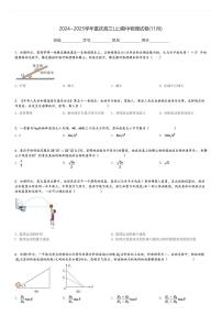 2024～2025学年重庆高三(上)期中物理试卷(11月)[原题+解析]