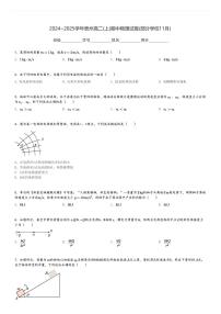 2024～2025学年贵州高二(上)期中物理试卷(部分学校11月)[原题+解析]