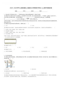 2024～2025学年上海杨浦区上海复旦大学附属中学高二(上)期中物理试卷[原题+解析]