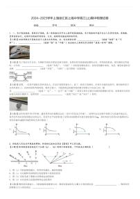 2024～2025学年上海徐汇区上海中学高三(上)期中物理试卷[原题+解析]