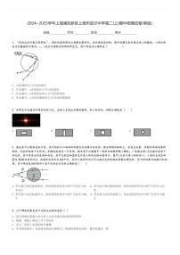 2024～2025学年上海浦东新区上海市进才中学高二(上)期中物理试卷(等级)[原题+解析]