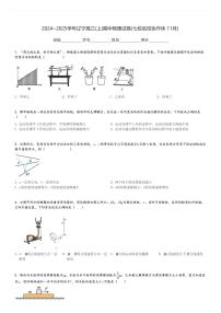 2024～2025学年辽宁高三(上)期中物理试卷(七校名校协作体 11月)[原题+解析]