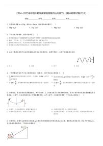 2024～2025学年贵州黔东南苗族侗族自治州高二(上)期中物理试卷(11月)[原题+解析]