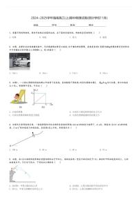 2024～2025学年海南高三(上)期中物理试卷(部分学校11月)[原题+解析]