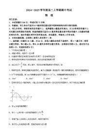 广东省深圳市盟校联盟2024-2025学年高二上学期11月期中考试物理试卷（Word版附解析）