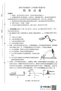 河南省南阳市2024-2025学年高三上学期11月期中考试物理试卷（PDF版附答案）