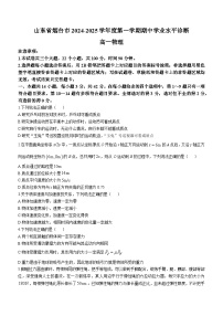 山东省烟台市2024-2025学年高一上学期11月期中考试物理试卷（Word版附答案）