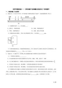 2025高考物理实验题专练 光学：用双缝干涉测量光的波长