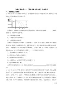 2025高考物理实验题专练 力学：验证动量守恒定律