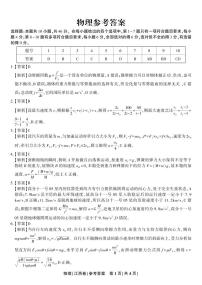 江西省九江市十校2024-2025学年高三上学期11月期中联考物理试卷