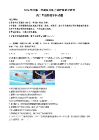浙江省温州新力量联盟2024-2025学年高二上学期期中联考物理试卷