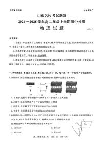 山东省名校考试联盟2024-2025学年高二上学期11月期中检测物理试题